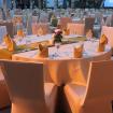 Gold and green theme color 