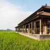 Tanah Gajah Ubud - Bali Wedding Venue 