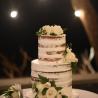 half naked wedding cake 
